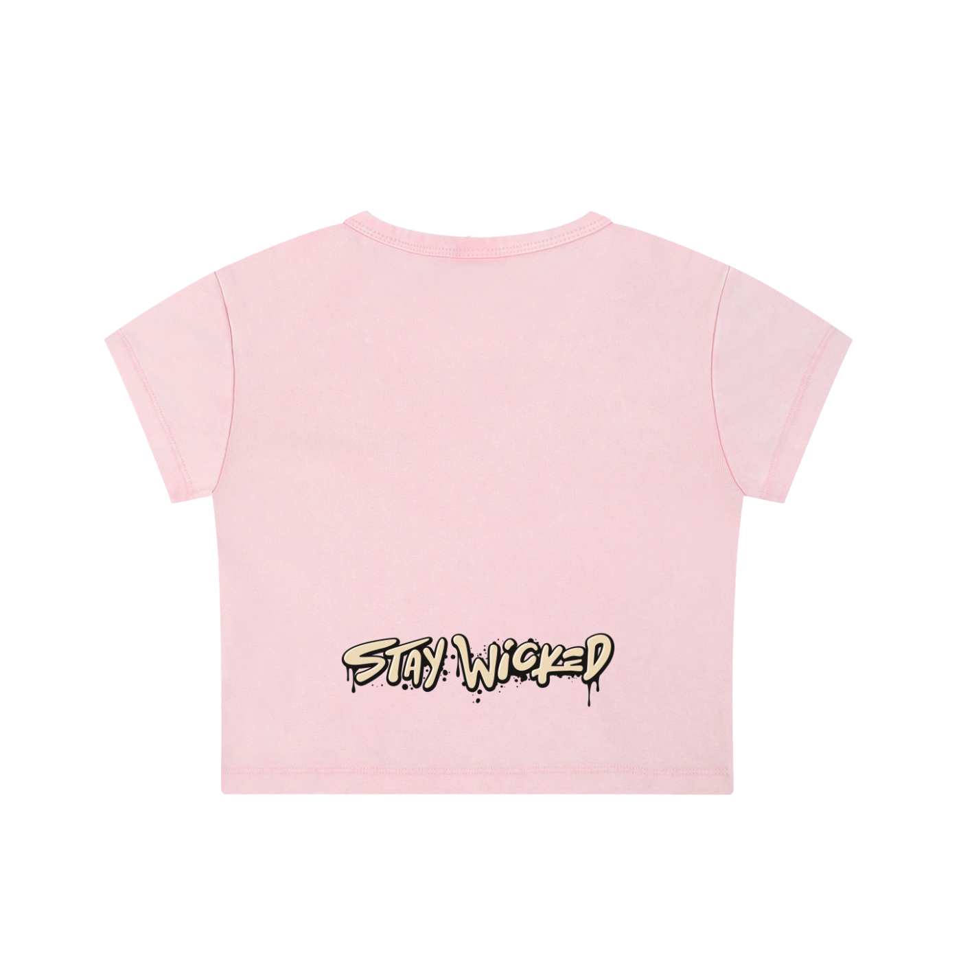 Snow Washed Crop Top