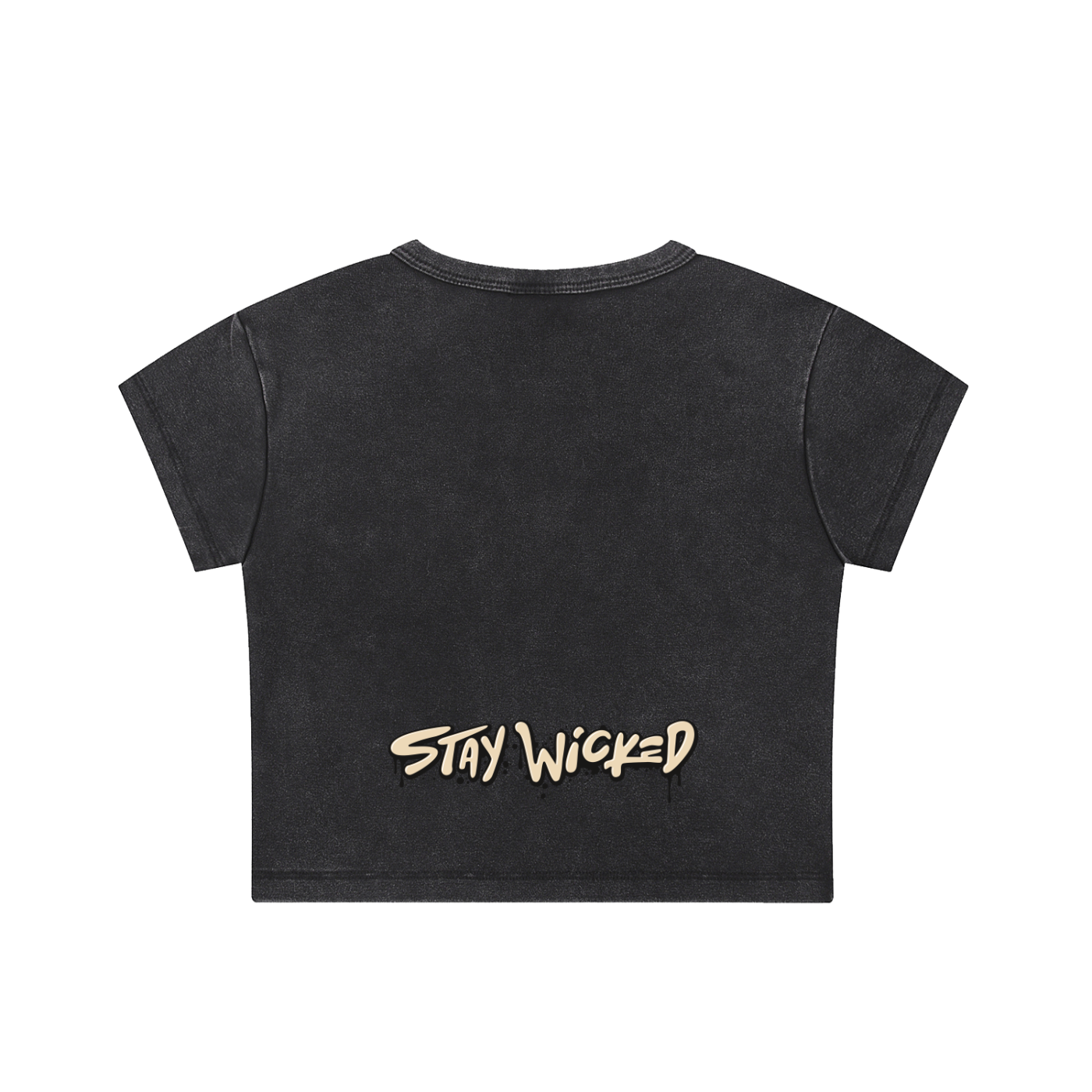 Snow Washed Crop Top